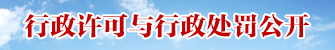 许可处罚